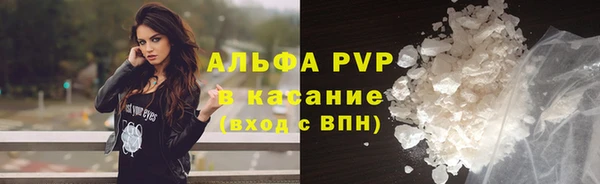 стаф Алексин