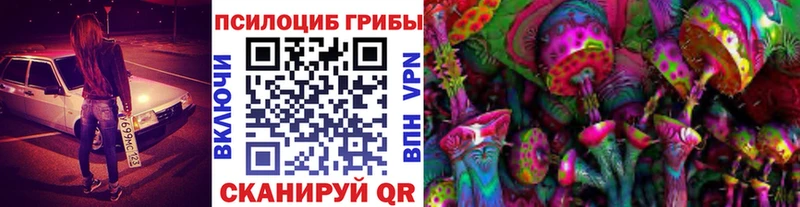 Галлюциногенные грибы Magic Shrooms  Мещовск 
